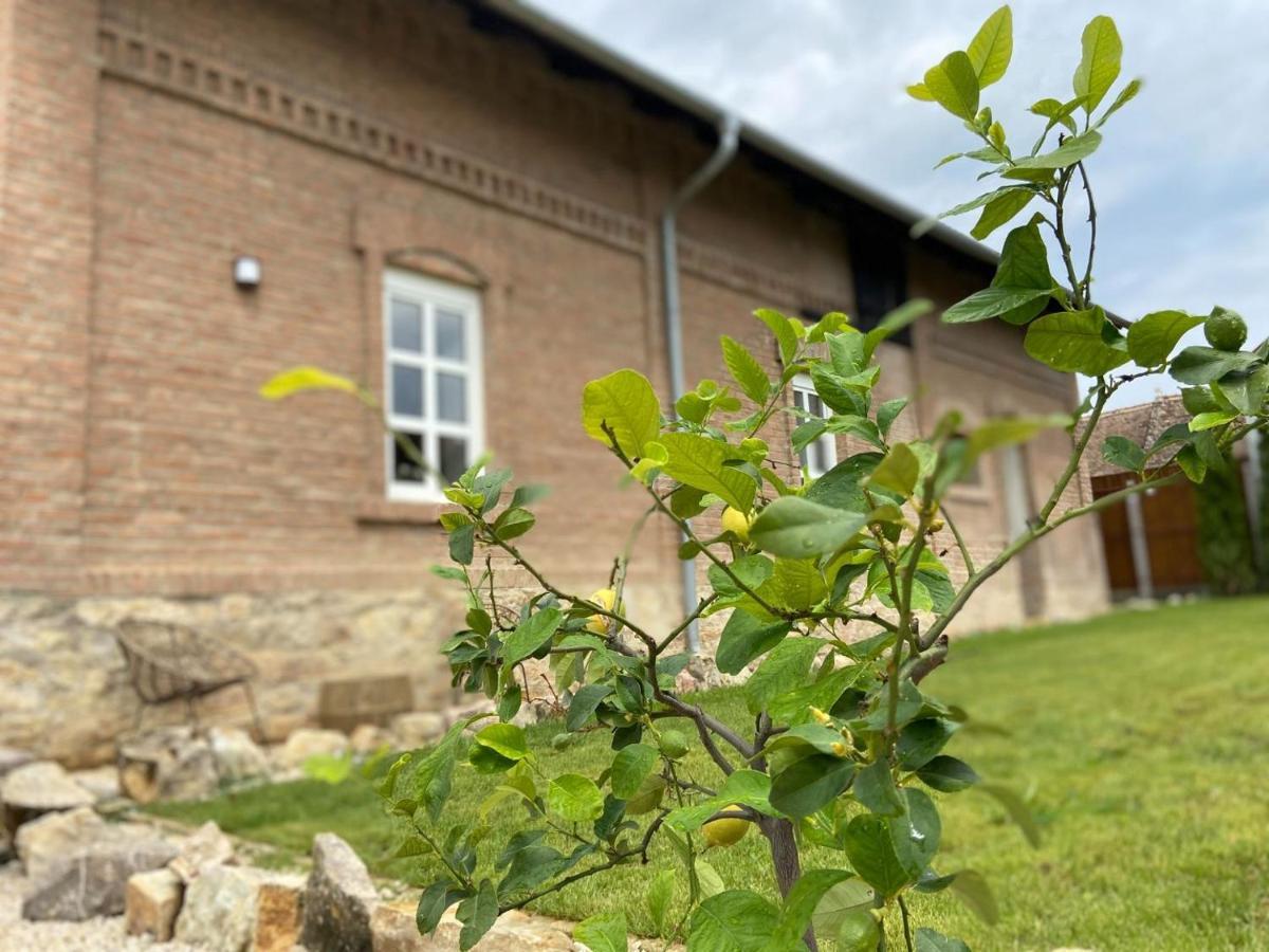 Magtar Villa Bóly Eksteriør bilde
